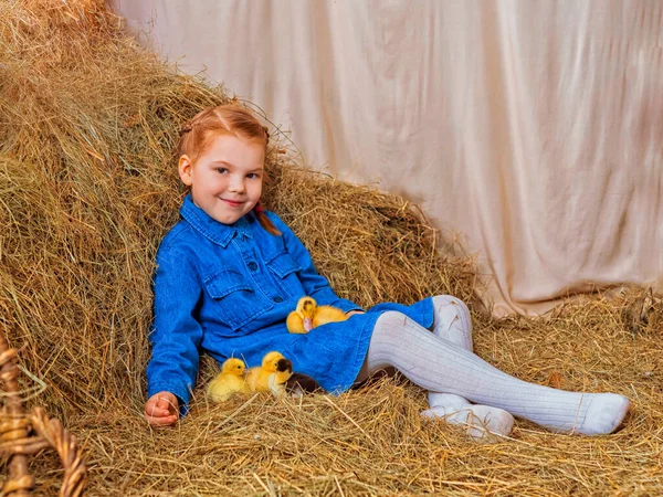 Küçük kızıl saçlı kız samanlı ördek yavrusu