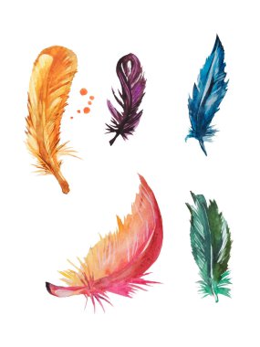 Farklı renklerde tüylü bir ilüzyon.