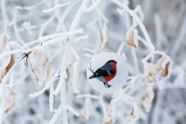 Bird Christmas bauble — Stock Photo, Image