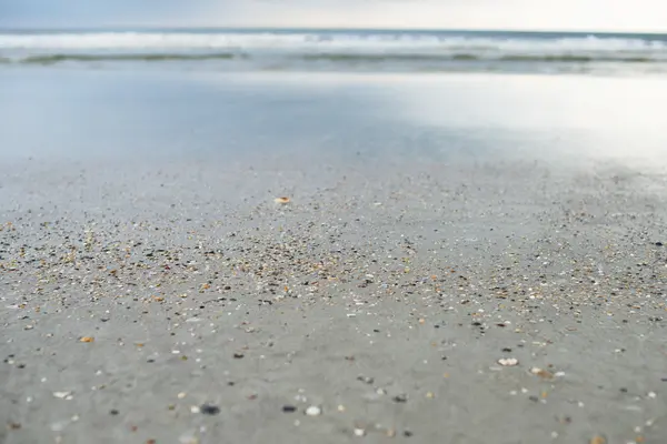 Deniz plaj kabukları mavi gökyüzü kum güneş gün ışığı gevşeme peyzaj manzaralı