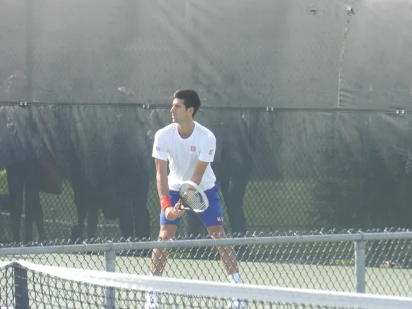 Giocatore di tennis rofessionale Novak Djokovic coupé Rogers Cup Montreal Canada — Foto Stock