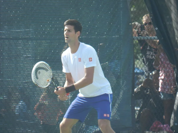 Rofessional tennis player Novak Djokovic coupe Rogers Cup Montreal Canada — Stock Photo, Image