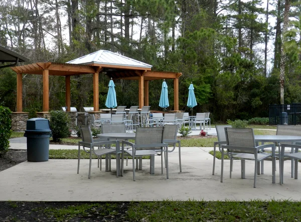 Güzel çiçek açan çatı Bahçe şehir ayarı - lüks mimari Barbekü açık