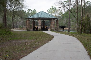 Amerikan orman Park göl kenarında barbekü piknik alanı