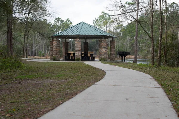 Amerikan orman Park göl kenarında barbekü piknik alanı