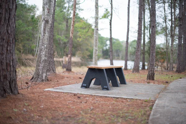 sonbahar ormanda piknik yeri.