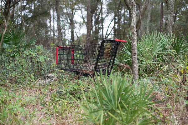 Alışveriş sepeti bir parka terk