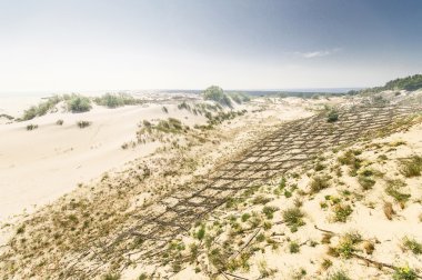Kumlu bir plaj üzerinde bir yükseklikten görüntülemek