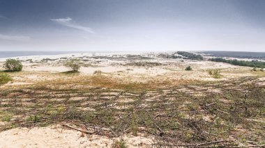 Kumlu bir plaj üzerinde bir yükseklikten görüntülemek