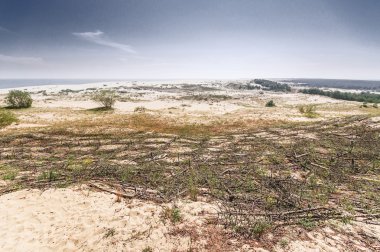 Kumlu bir plaj üzerinde bir yükseklikten görüntülemek