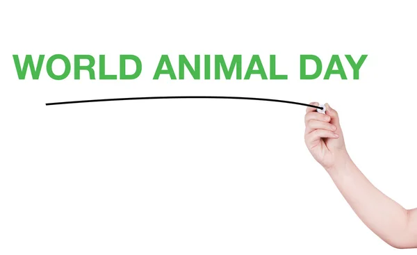 Journée mondiale des animaux mot écrire sur fond blanc — Photo