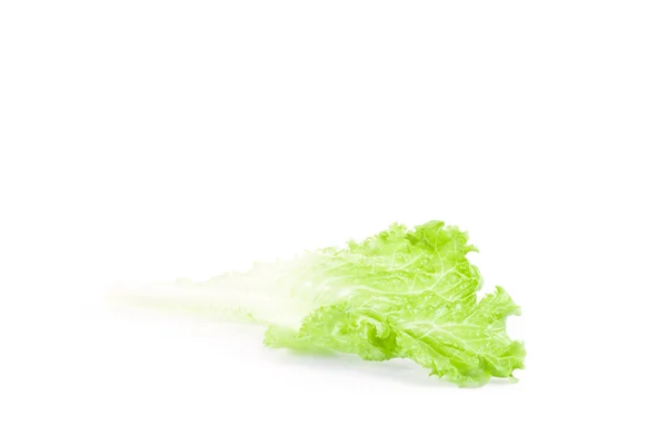 Salátalevelek izolált fehér alapon — Stock Fotó