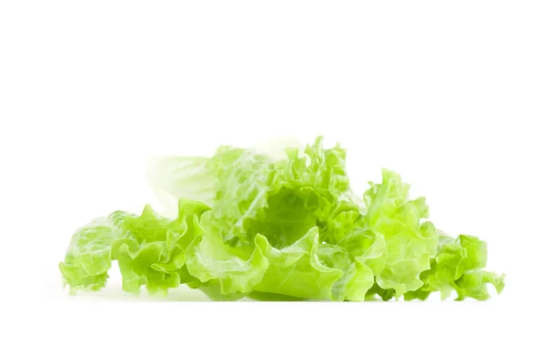 Lettuce leaves isolated on white background — Stock Photo, Image