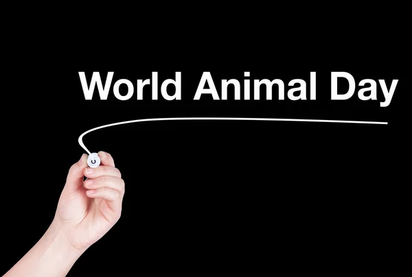 Journée mondiale des animaux mot écrire sur fond noir — Photo