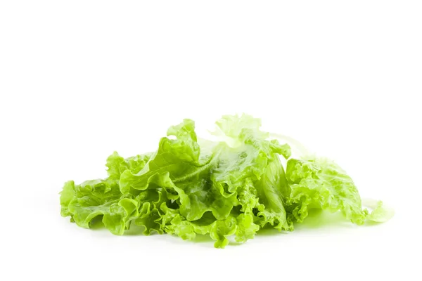 Lettuce leaves isolated on white background — Stock Photo, Image