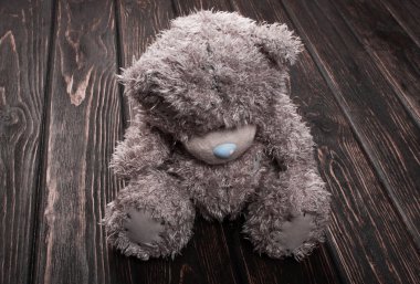 ahşap bir gemide ayı