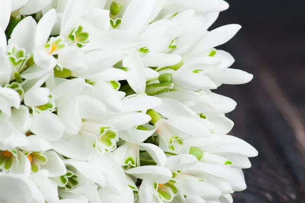 Gotas de neve no fundo preto — Fotografia de Stock