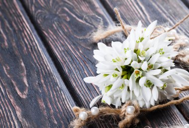 kardelen grup ahşap üzerine