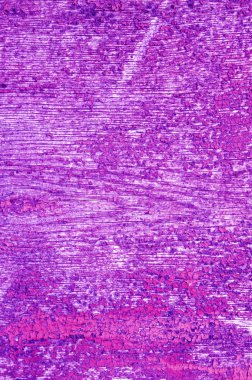 büyük grunge doku ve arka planlar