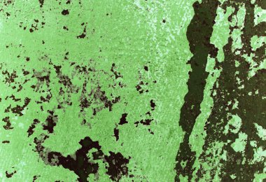 büyük grunge doku ve arka planlar