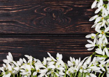 kardelen grup ahşap üzerine