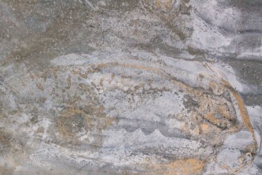 Kağıt doku tasarlanmış