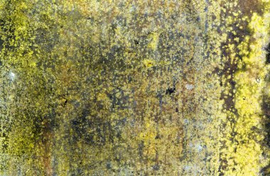 Kağıt doku tasarlanmış.