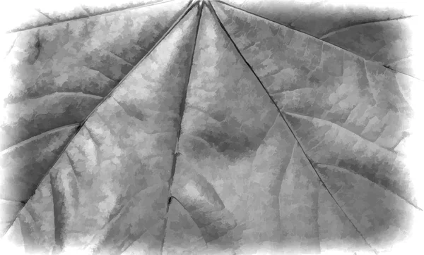 Элемент дизайна. текстура листьев — стоковый вектор