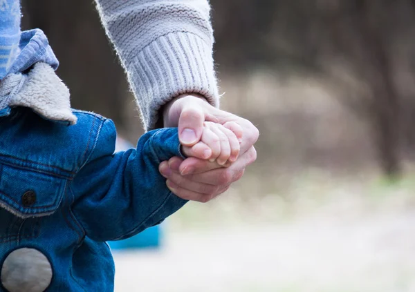 Trust family hands of child son and father — Stock Photo, Image