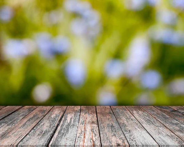 Naturlig grön bakgrund — Stockfoto