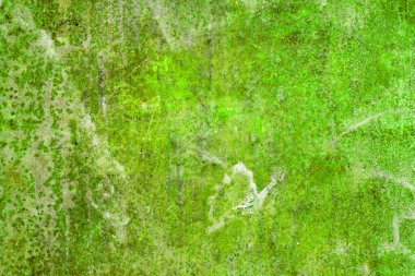 Kağıt doku tasarlanmış.