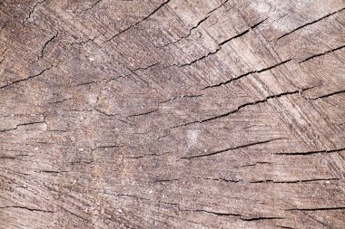 Kağıt doku tasarlanmış.