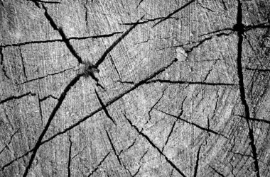 Kağıt doku tasarlanmış.