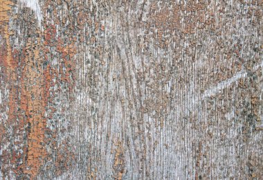 Kağıt doku tasarlanmış.