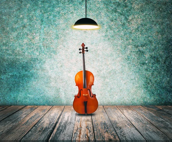 Violoncello all'interno — Foto Stock