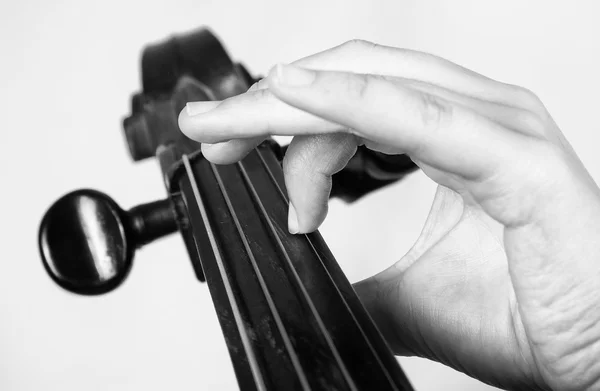 Man playing the cello. — Stock Photo, Image