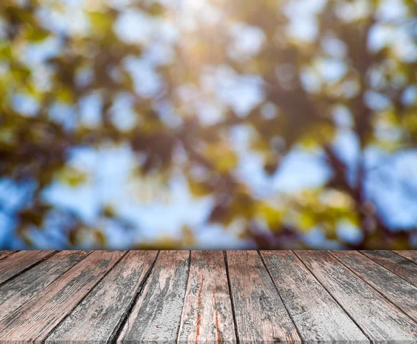 Naturgrün mit verschwommenem Hintergrund — Stockfoto