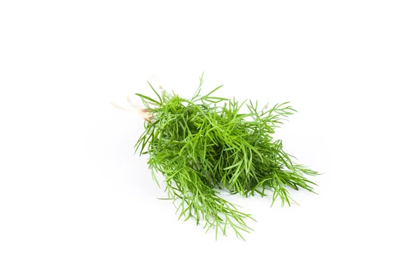 Fresh dill on white — Stock Photo, Image