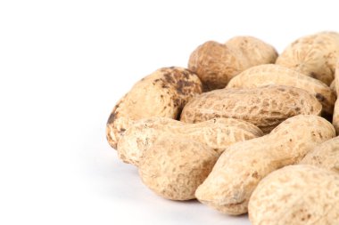 kabukta yer fıstığı