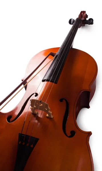Βιολοντσέλο σε λευκό φόντο. — Φωτογραφία Αρχείου