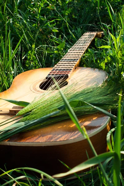 Гітара на природному ландшафті — стокове фото