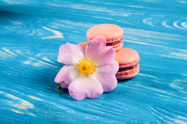 Mavi kurullarında çok renkli acıbadem kurabiyesi. 