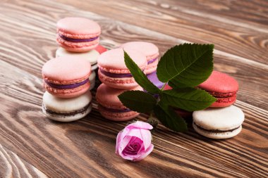 Kahverengi kurullarında çok renkli acıbadem kurabiyesi. 