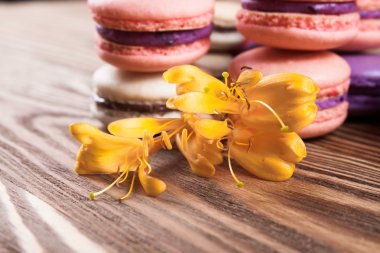 Kahverengi kurullarında çok renkli acıbadem kurabiyesi. 