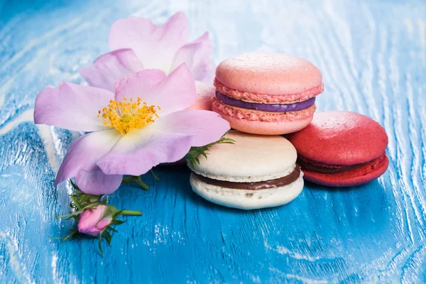 Multicolored macaroon on blue boards. — Stock Photo, Image