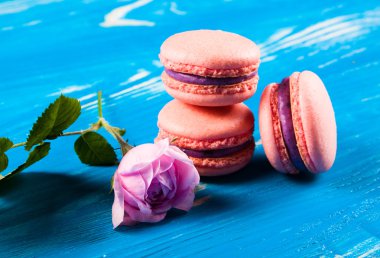 Kahverengi kurullarında çok renkli acıbadem kurabiyesi. 