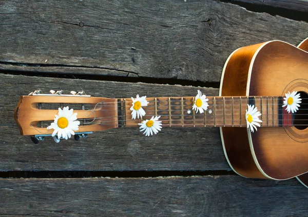 Gitarr i floden dock. — Stockfoto