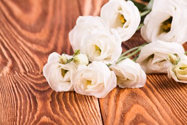 Bir beyaz üzerine taze gül 