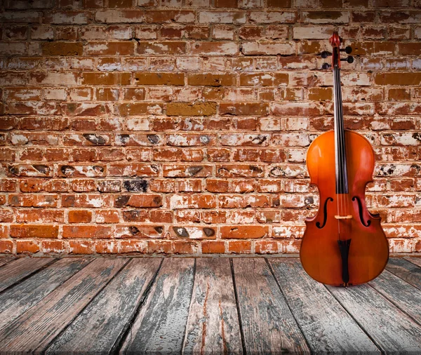 Cello in the interior — Stock Photo, Image