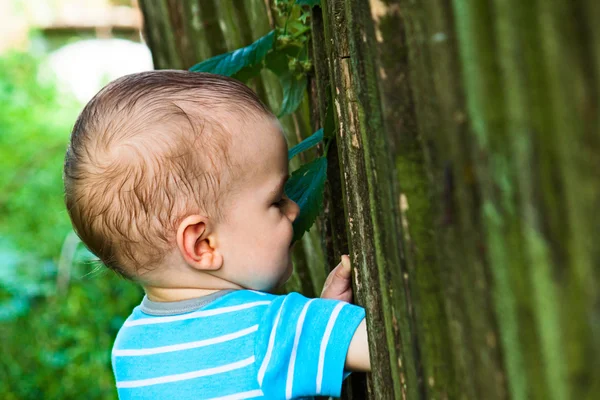 El niño mira por encima de la valla . — Foto de Stock